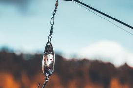 bait-1869897_1920_0.jpg