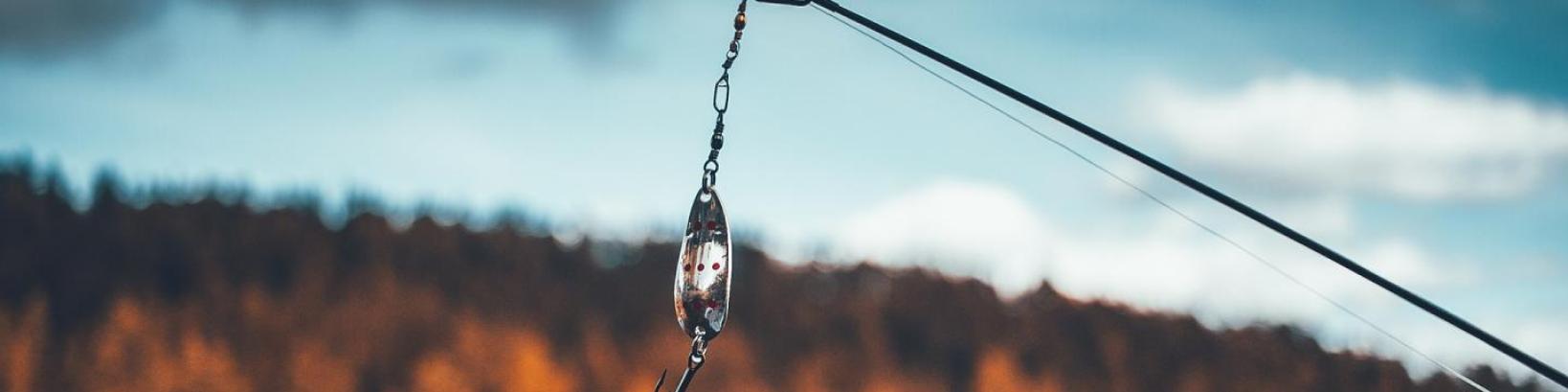 bait-1869897_1920_0.jpg