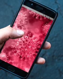 a hand holding a smartphone displaying an image of a virus